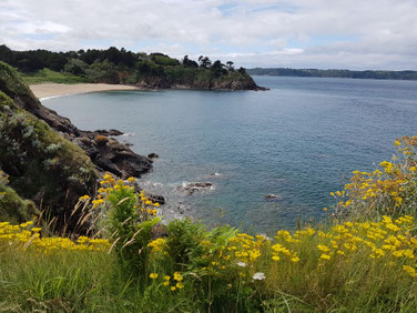 Septembre 2020 -  Côte d'Emeraude