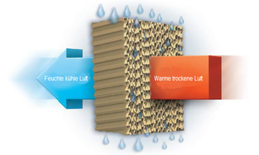 Cold evaporative humidifier sales
