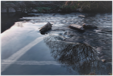 An den Ufern der Brigach