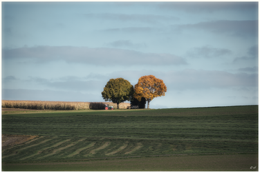 Unterwegs mit einem alten Traktor