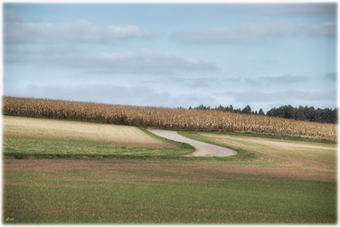 Der Pfad durch Wiesen & Maisfelder