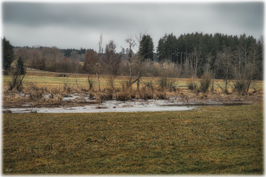 Obwohl sich das Wasser bereits zurückgezogen hat, stehen noch einige Flächen unter Wasser