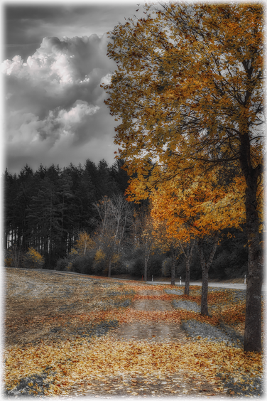 Herbstfarben