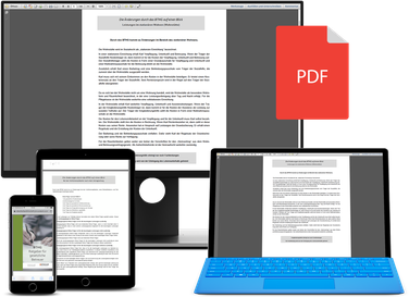BTHG Buch als PDF