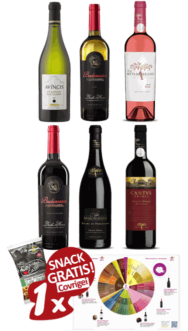 6-er Weinpaket - Weinprobe der Superlative + Anleitung & Wein-Notizen