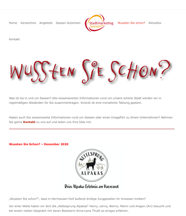 Website Stadtmarketing Seesen