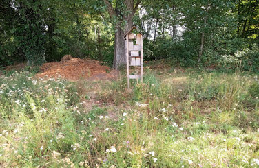 Foto: privat - J. Ley