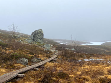 Sehenswürdigkeiten Kilpisjärvi - Dreiländereck: Ein schmaler Holzpfad führt über ein Hochmoor, das auf dem Weg zum Dreiländereck überquert werden muss.