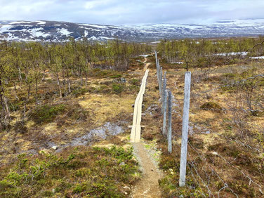 Sehenswürdigkeiten Kilpisjärvi - Dreiländereck: Der Weg führt einem Grenzzaun entlang. Der Grenzzaun wurde erstellt, dass Rentiere nicht versehentlich über die Grenze schreiten.