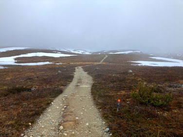 Sehenswürdigkeiten Kilpisjärvi - Dreiländereck: Eine schwarz-rot bemalte Wegmarke an der Seite des breiten Wanderwegs zeigt an, dass der eingeschlagene Weg richtig ist.