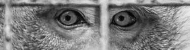Black and white photography does not need colors to capture your attention