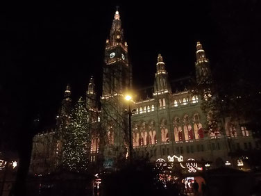 Weihnachtsbaum vor dem Rathaus in Wien