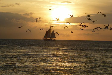 Sonnenuntergang auf Key West