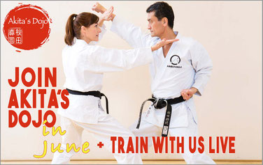 Karate Erlach, Shinji Akita-Sensei, Online Karate-Training