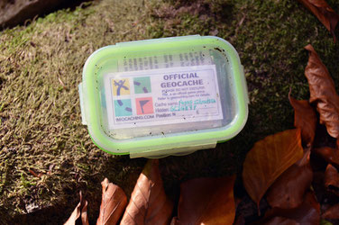 Geocache Dose