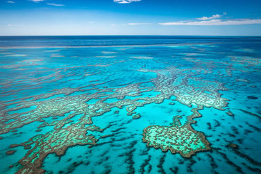 Great Barrier Reef aus der Luft 