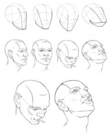 Vii Le Proporzioni Del Volto Randi Arte Pittura E Dintorni