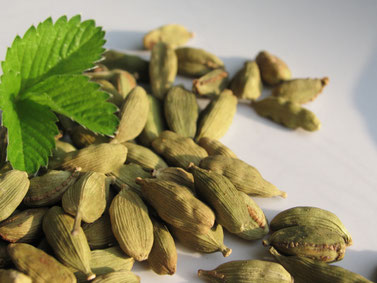 Cardamom