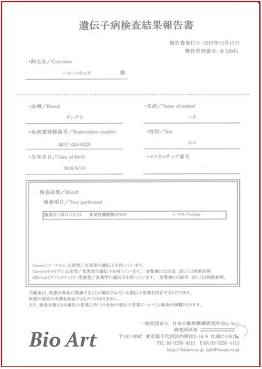 父猫ハタがノーマルと判定された当時の検査報告書