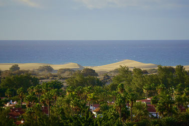 Blick auf die Dünen von Maspalomas