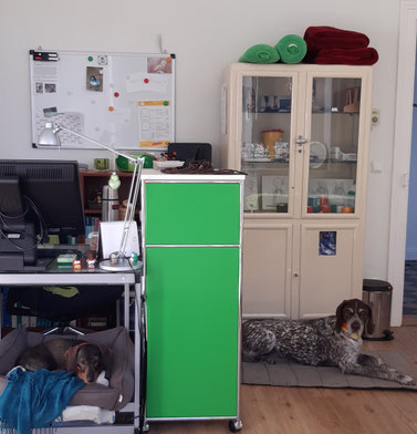 Frieso und Gustl in der Praxis Göttingen