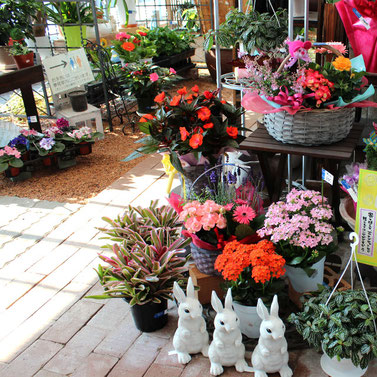 生産直売の宮子花園は、ギフトにピッタリの花かごセットを、お値段いろいろではんばいしています。