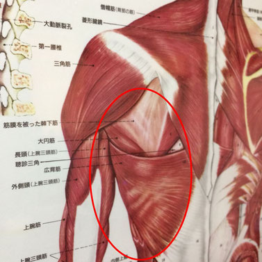 腕を上げて痛む場所