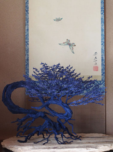 小野川直樹（1991- ）