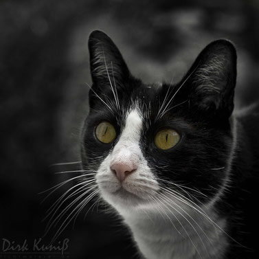 Unsere Franzi