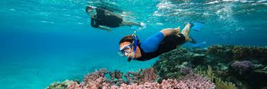 Snorkeling