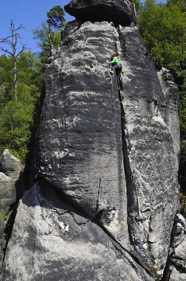 Ülmtülp, Wächterriss, VIIa (Foto: Helmut Schulze, 2017)