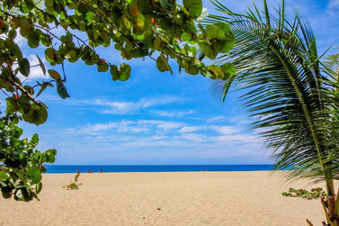 Ein Torbogen aus Ästen und Palmenzweigen mit Blich auf den Strand und das Meer