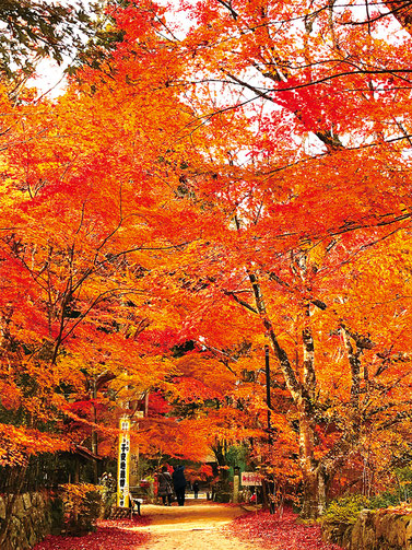 （公社）びわこビジターズビューロー