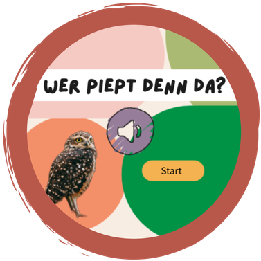 "Wer piept denn da?" Vogelstimmen-Quizze