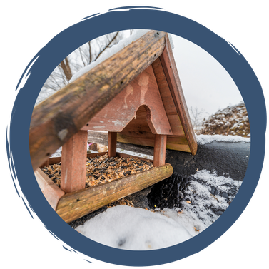 Was fressen Vögel im Winter?