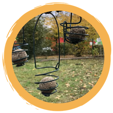 Meisenknödelhalter aus Draht