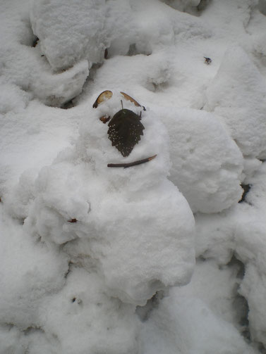 © photo Isabelle Bouchex, hiver 2016