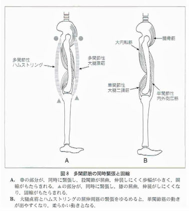 脳性麻痺と機能訓練2 幹鍼灸院 浦和駅西口 不定愁訴と運動器疾患