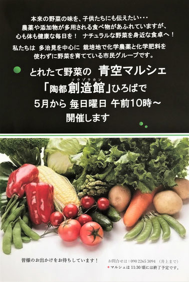 多治見市 本町 オリベストリート 駐車場 陶器 創造館 野菜 無農薬 採れたて 日曜朝市 マルシェ