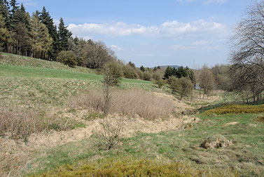 Foto: Das Trüllketal im Frühjahr 2013.