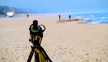am Zinnowitzer Ostseestrand / ©Jana Freitag