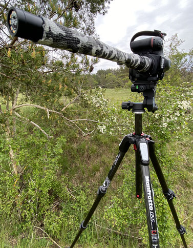 Das Laowa 24mm Probe im Einsatz.