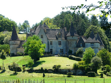 Numerous castles, including “La Grande Filolie”, private castle, 12mn from La Maison de Léopold.