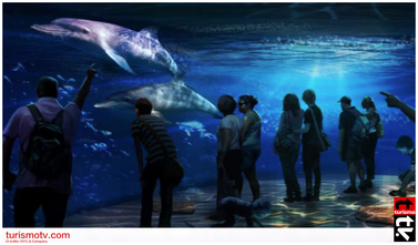 Odisea en el Océano de National Geographic: