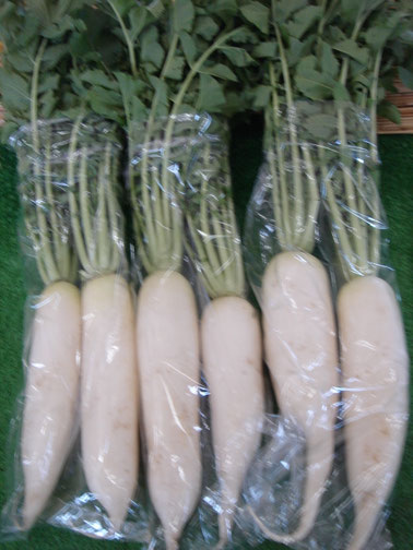 岐阜県　加茂郡　川辺町　直売所　川湊の里　上川辺　新鮮野菜　ダイコン