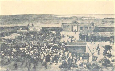 Photo from Revoil 1882.