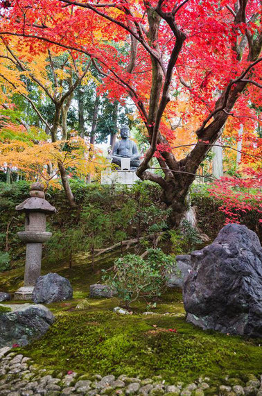 京都栄摂院の釈迦座像と紅葉