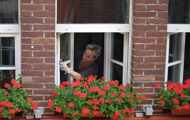Frau putzt Fenster Fensterputzen Fensterputzer