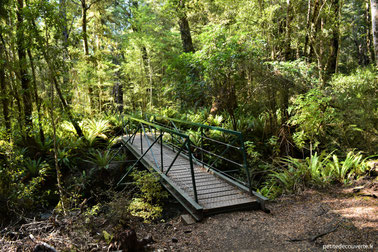 Kepler track depuis Te Anau - Nouvelle-Zélande 