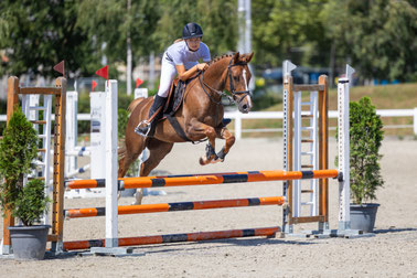 SOPHIE OP DEN CAMP